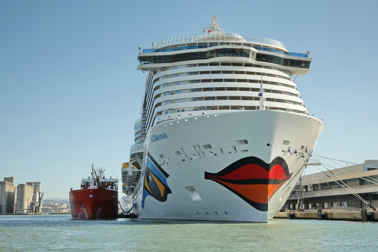 Aida Nova cruise in Barcelona port on January 20, 2022 (by Port de Barcelona via ACN)